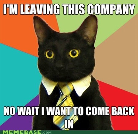 Business Cat's Decision-Making Skills Are Subpar