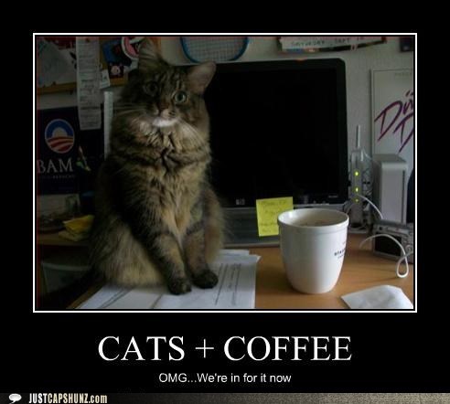 Coffee Capshunz