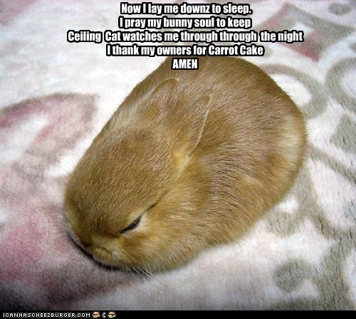 Now I lay me downz to sleep. I pray my bunny soul to keep Ceiling  Cat watches me through through  the night I thank my owners for Carrot Cake AMEN