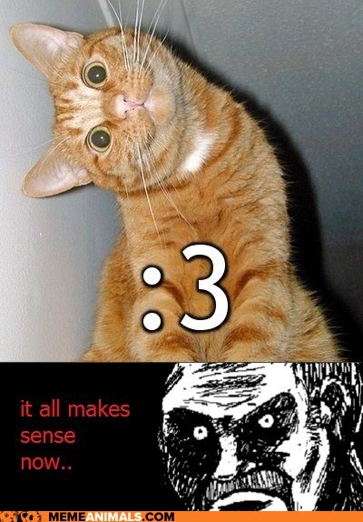 The Cat Face Emoticon Explained