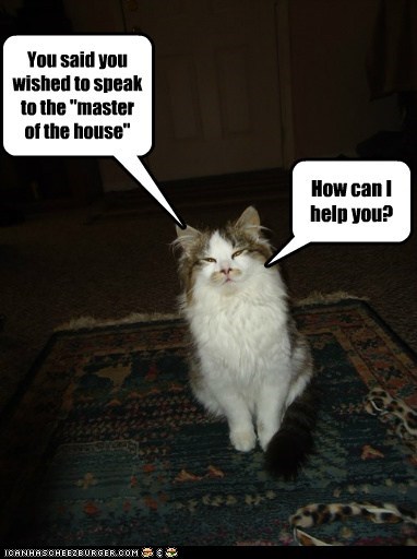 master of the house