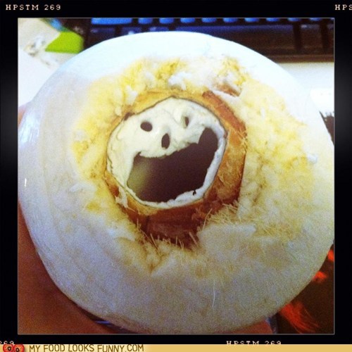 Cuckoo Coconut