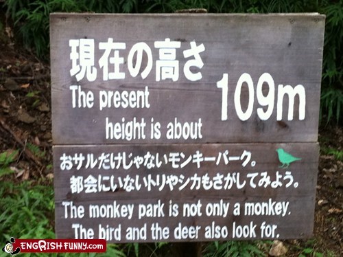 Well then why even bother calling it a monkey park