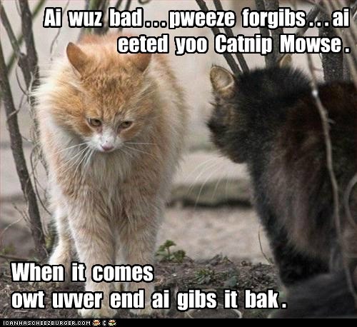 Ai  wuz  bad . . . pweeze  forgibs . . . ai  eeted  yoo  Catnip  Mowse .