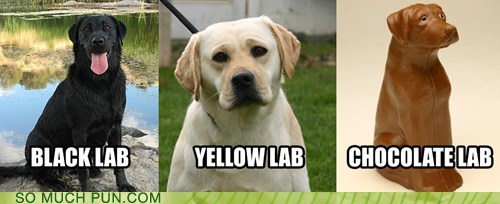 I Wouldn't Want to See a Meth Lab, Then...