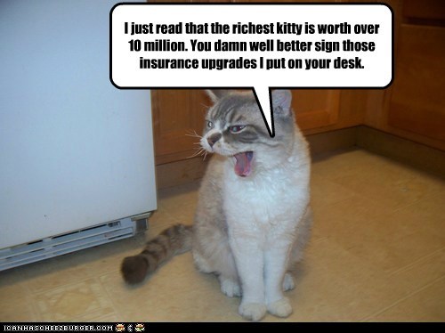 I just read that the richest kitty