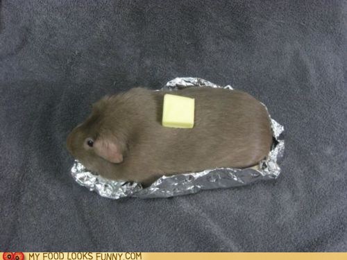 Tater Pig