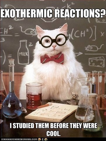 MemeCats: Hipster Chemistry Cat