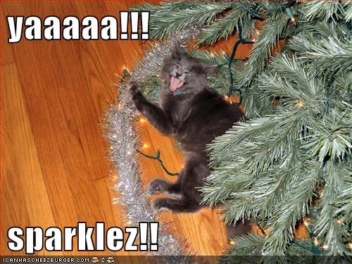 yaaaaa!!!   sparklez!!