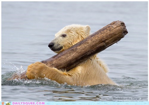 Acting Like Animals: Row, Row, Row Your Log!
