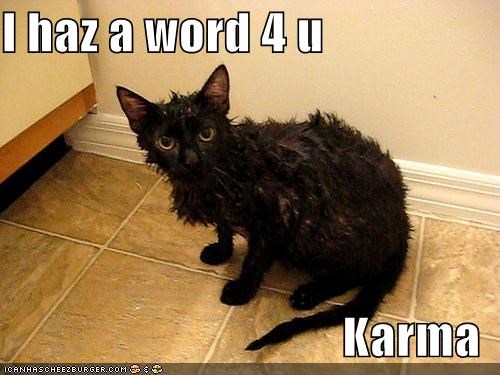 I haz a word 4 u  Karma