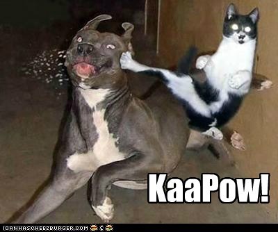 KaaPow!