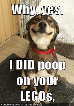 Why, yes.  I DID poop on your LEGOs,