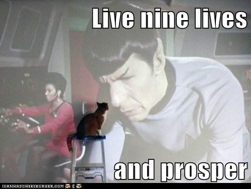 Live nine lives