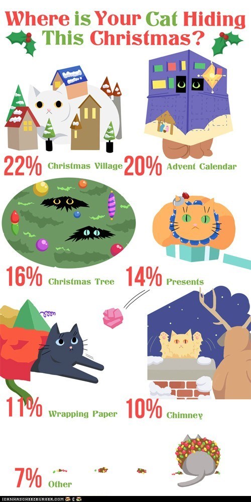 Where Is Your Cat Hiding This Christmas?