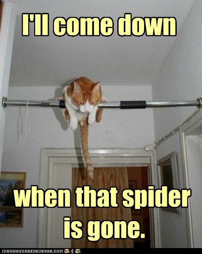 Not one second before.