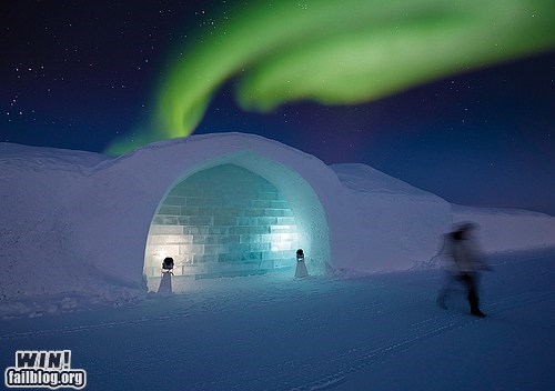 Igloo WIN