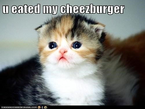u eated my cheezburger