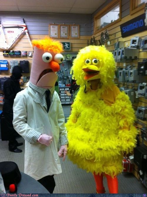 Funny, Big Bird looks taller on TV