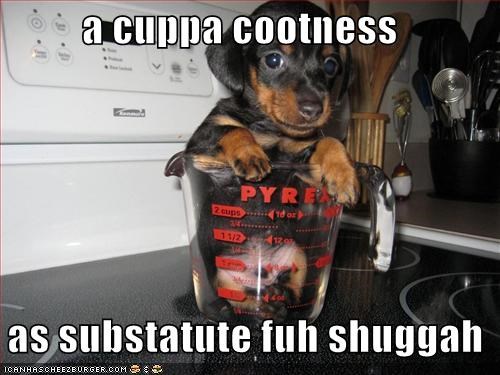 a cuppa cootness    as substatute fuh shuggah
