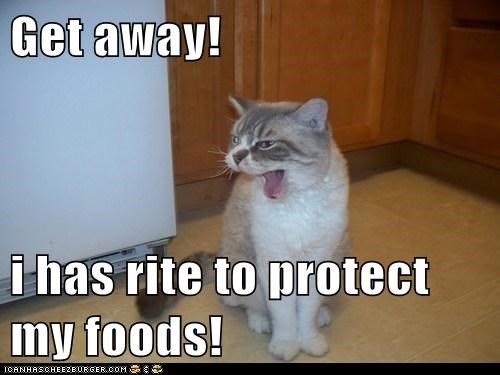 Get away!  i has rite to protect my foods!