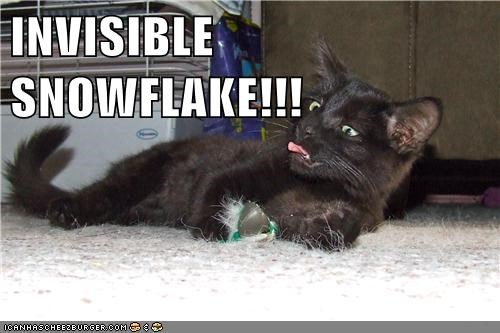 INVISIBLE SNOWFLAKE!!!