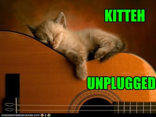 KITTEH