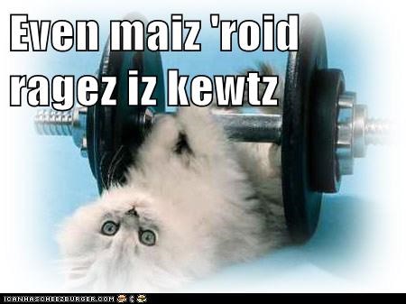 Even maiz
