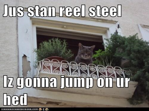 Jus stan reel steel  Iz gonna jump on ur hed