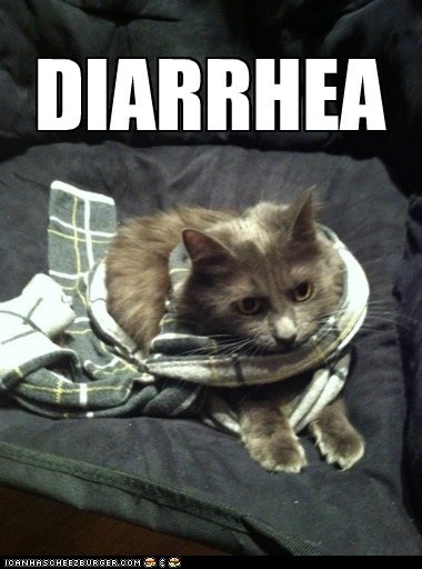 DIARRHEA