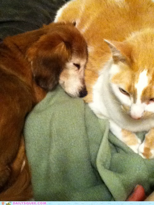 BFF Katie and Finn