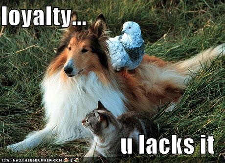 loyalty...  u lacks it