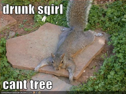 drunk sqirl