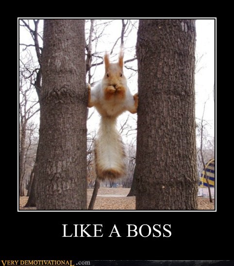 LIKE A BOSS