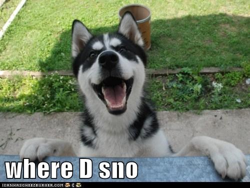 where D sno