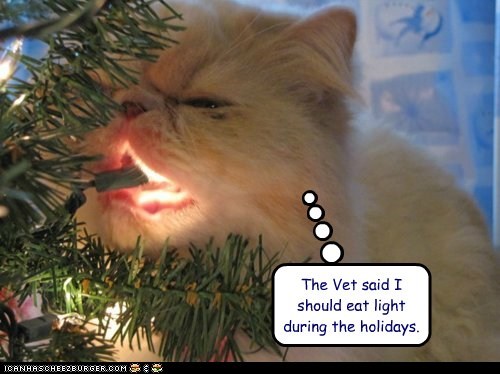 The Vet said
