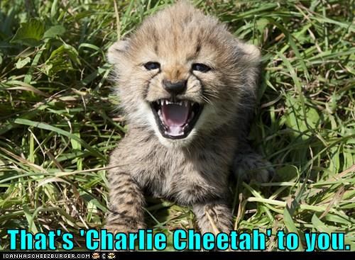 That's 'Charlie Cheetah' to you.