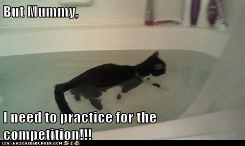I'm Going to be the Michael Phelps of the Kitteh Olympics!