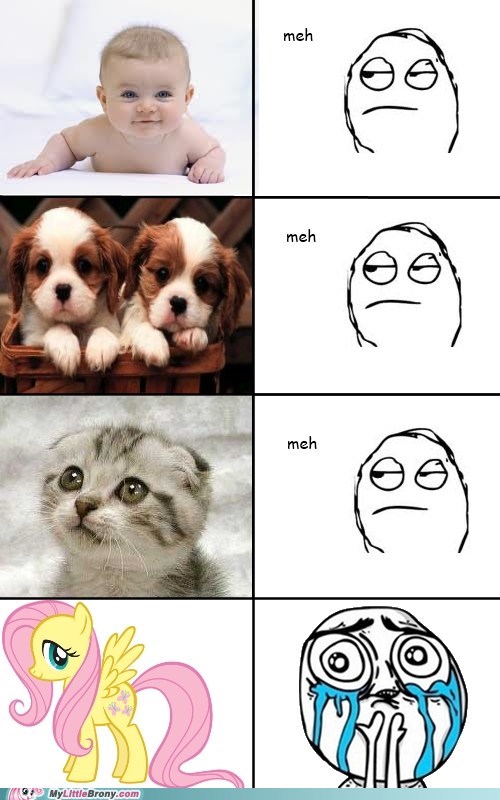 The Cutest Thing in the World