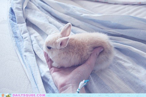 Softer Than a Silver Platter
