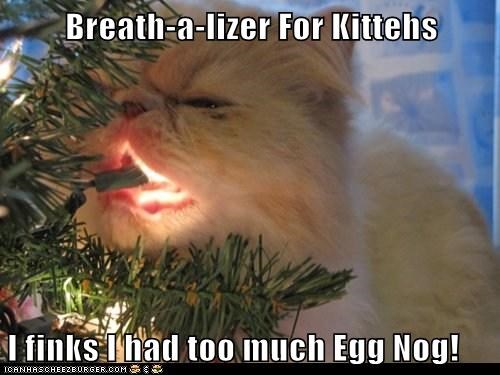 Breath-a-lizer For Kittehs  I finks I had too much Egg Nog!
