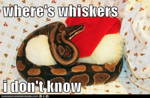 where's whiskers  i don't know