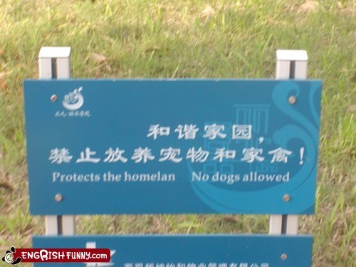 Engrish Funny: Those Rebellious Dogs 