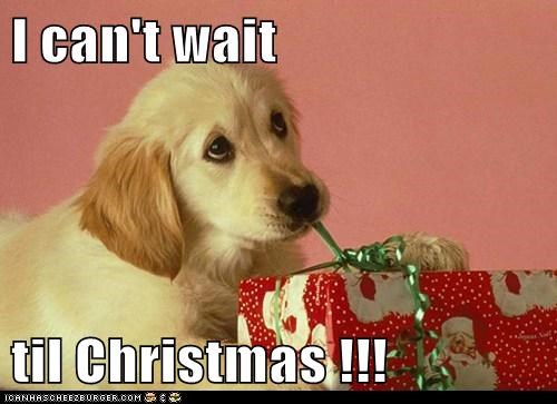 I can't wait  til Christmas !!!