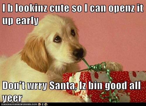 I b lookinz cute so I can openz it up early  Don't wrry Santa, Iz bin good all yeer