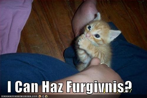 I Can Haz Furgivnis?
