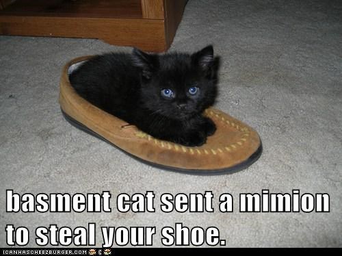basment cat sent a mimion to steal your shoe.
