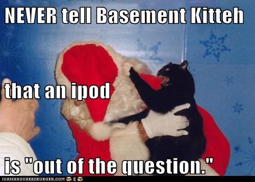 NEVER tell Basement Kitteh that an ipod is "out of the question."