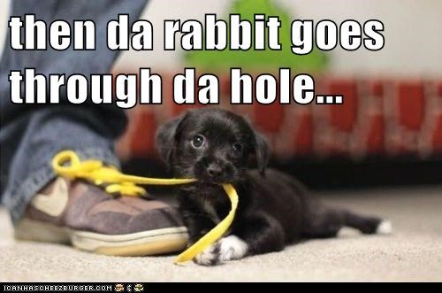then da rabbit