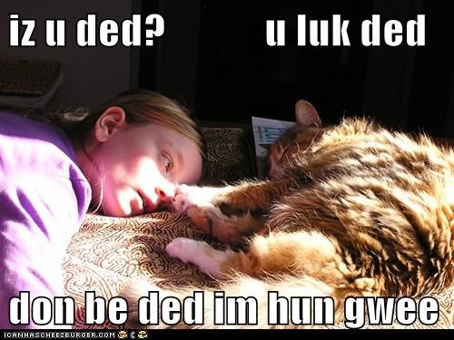 iz u ded?